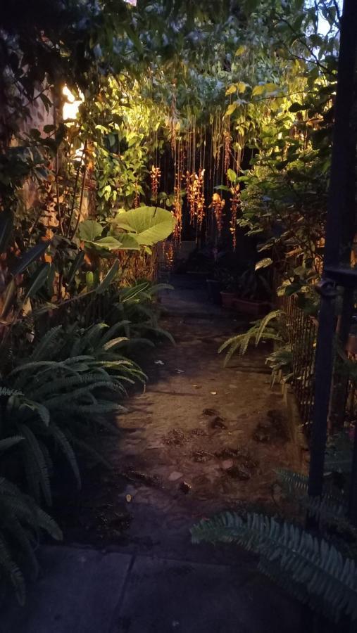 Casa Quetzalli, La Recoleccion Antigua Bagian luar foto