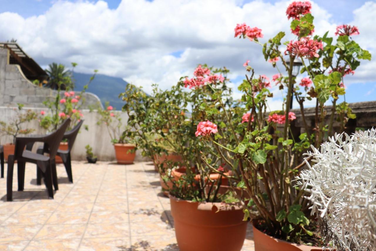 Casa Quetzalli, La Recoleccion Antigua Bagian luar foto