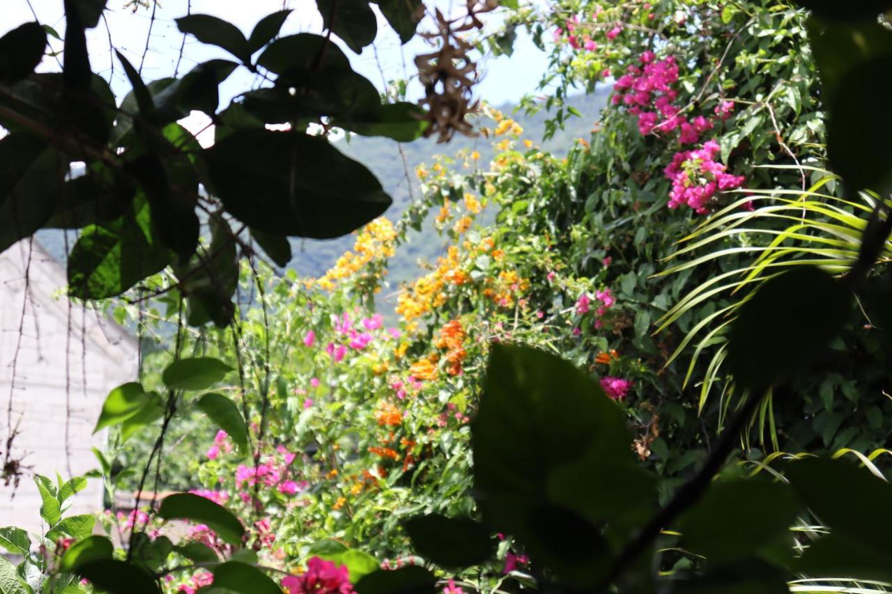 Casa Quetzalli, La Recoleccion Antigua Bagian luar foto